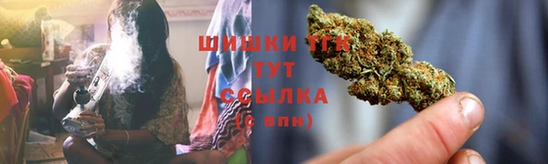 МДПВ Богданович