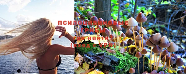 МДПВ Богданович